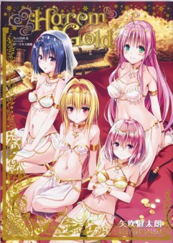 To Loveる―とらぶる―ダークネス画集 Harem Gold 愛蔵版コミックス