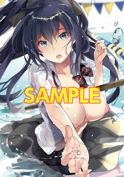 ポイントB2ダブルスエードタペストリー_平つくね(脱衣).jpg