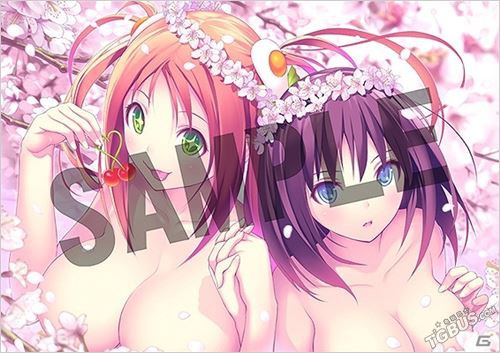 valkyrie Drive bhikkhuni アニメイト挂画.jpg