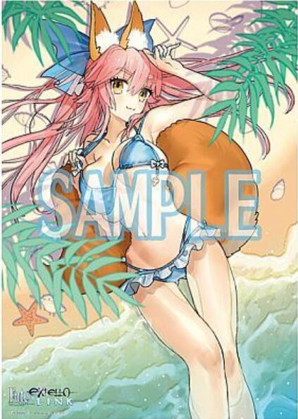 Fate EXTELLA link 限定版 ソフマップ特典 タペストリー付き.jpg