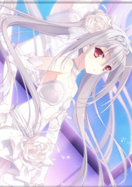 月に寄りそう乙女の作法 B1AJWタペストリー(ルナ).jpg