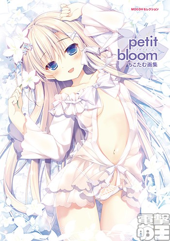 petit bloom ちこたむ画集 タペストリー付き電撃屋限定版.jpg