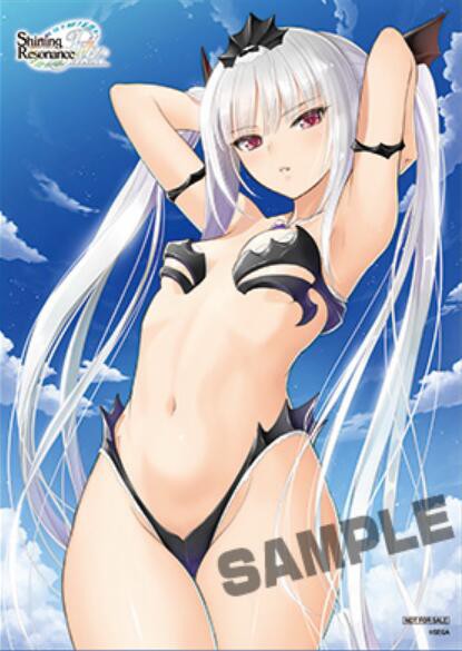 シャイニング・レゾナンス リフレイン trader特点.jpg